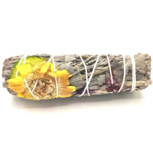 Atadillo Smudge  - Dalhia salvia 10cm